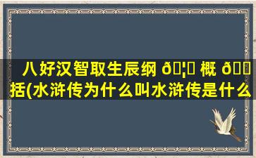 八好汉智取生辰纲 🦉 概 🐠 括(水浒传为什么叫水浒传是什么意思)